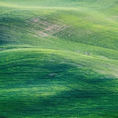 陕西榆林：黄沙变绿洲，“榆林绿”正在向深“碳”索